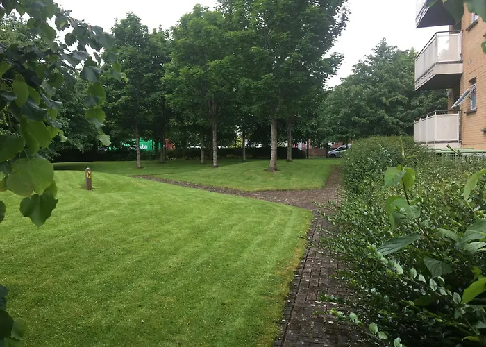 Spacious 3 Bedroom With Parking *