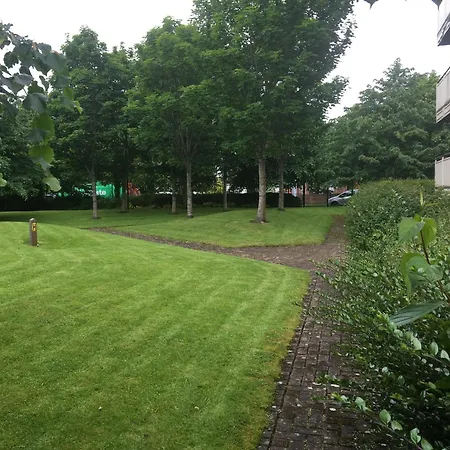 Spacious 3 Bedroom With Parking *